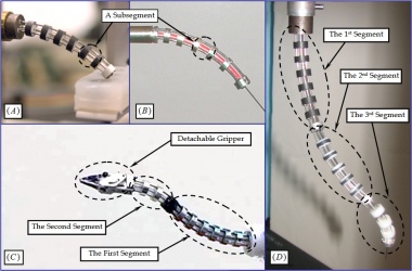 Research continuum2004 - Rii